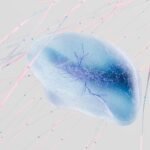 Accounting & Compliance Transformation with Odoo and AI